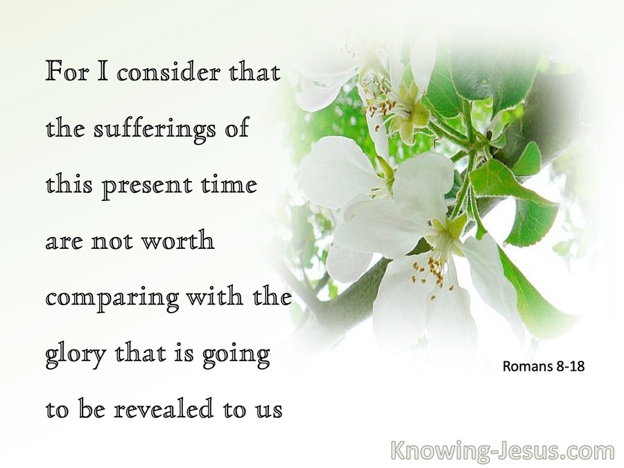 Romans 8:18 I Consider The Sufferings Of This Present Time Are Not Worth Comparing With The Glory To Come  (green)